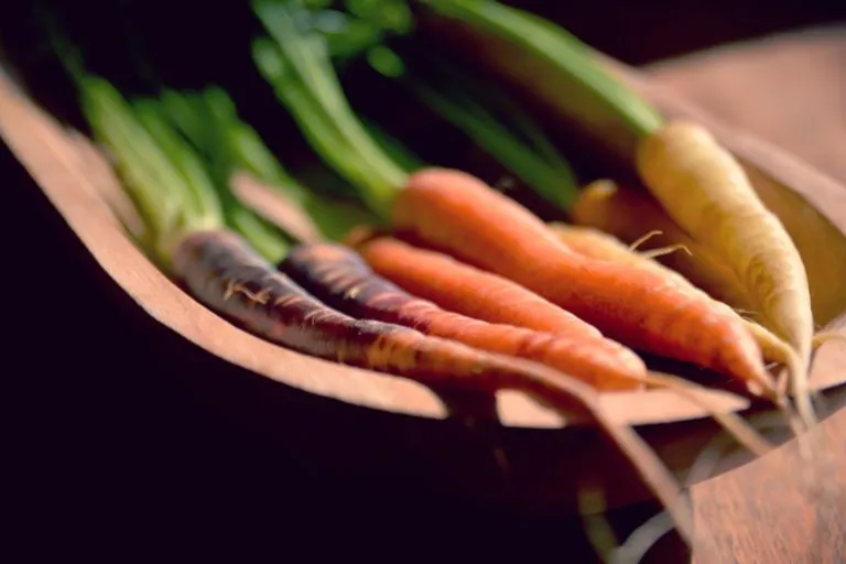 Purple, orange, yellow and white heritage carrots